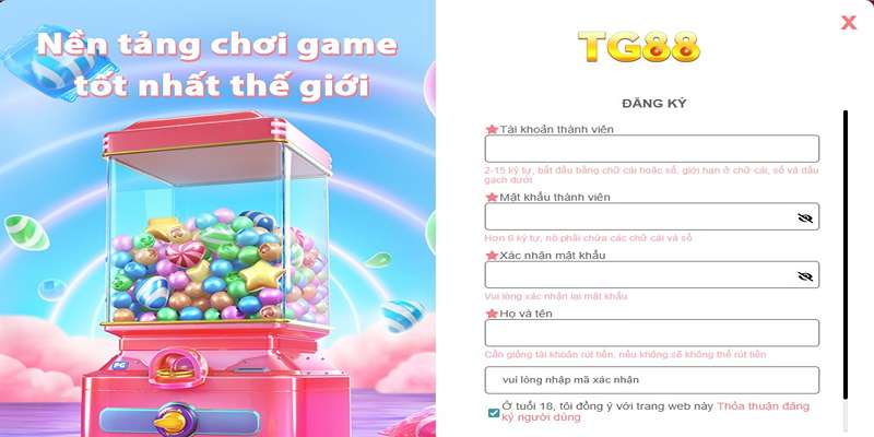 Nhập thông tin chính xác theo yêu cầu từ trang web